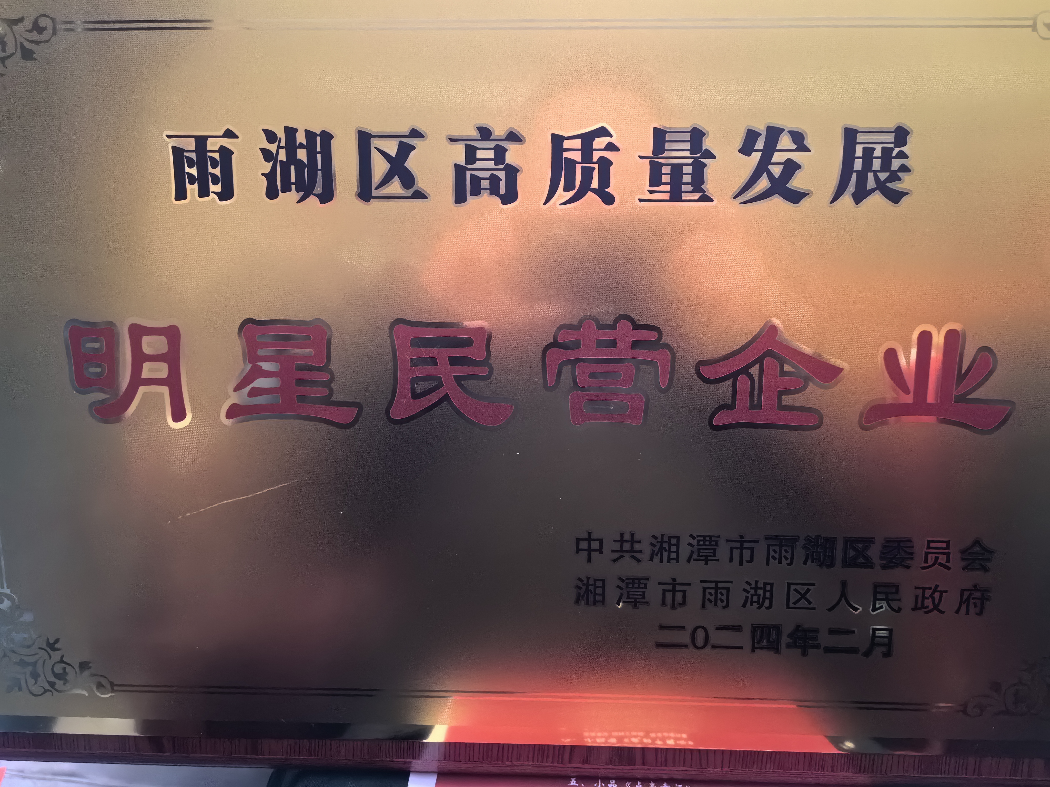 华体会在线荣获“雨湖区高质量发展明星民营企业”称号